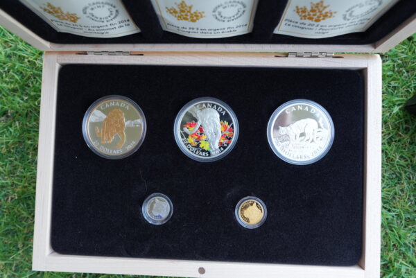 2014 Cougar 5-Coin Set – Pure Gold, Platinum & Silver | Royal Canadian Mint - Image 3