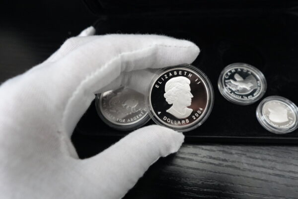 2004 Arctic Fox 4-Coin Silver Fractional Proof Set – 99.99% Pure Silver(No coa)(1.85 troy oz) - Image 2