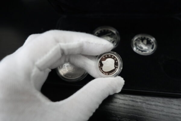 2004 Arctic Fox 4-Coin Silver Fractional Proof Set – 99.99% Pure Silver(No coa)(1.85 troy oz) - Image 3