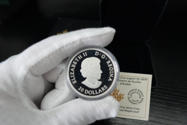 2019 $20 The Beloved Maple Leaf – 1 oz Pure Silver Coin - Image 5