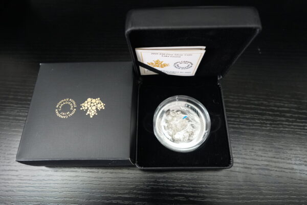 2021 $50 Lake Louise – 2.65 oz Pure Silver Coin – Canadian Rockies Collectible - Image 4