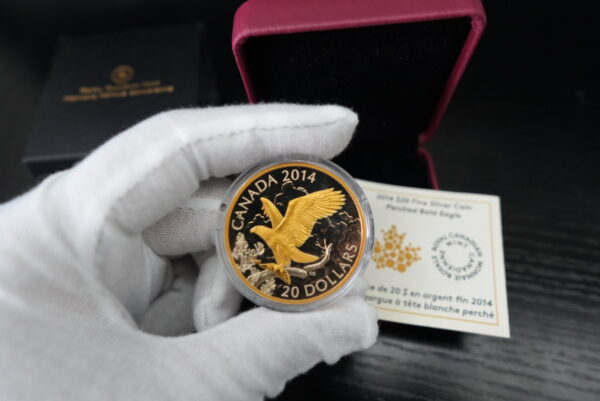 2014 $20 Perched Bald Eagle - Pure Silver Coin