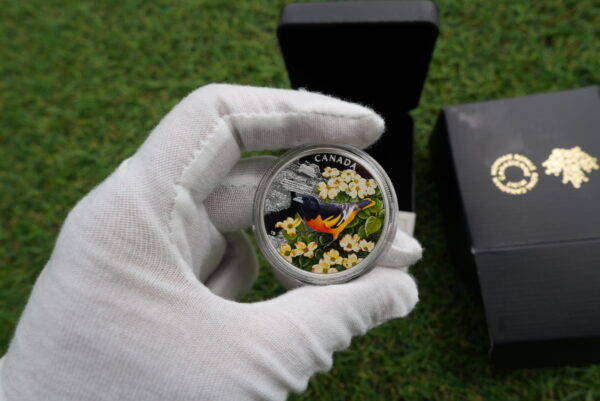 Colourful Birds: Baltimore Oriole – 1 oz Fine Silver Coin | Royal Canadian Mint - Image 3