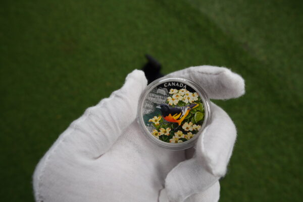 Colourful Birds: Baltimore Oriole – 1 oz Fine Silver Coin | Royal Canadian Mint - Image 5