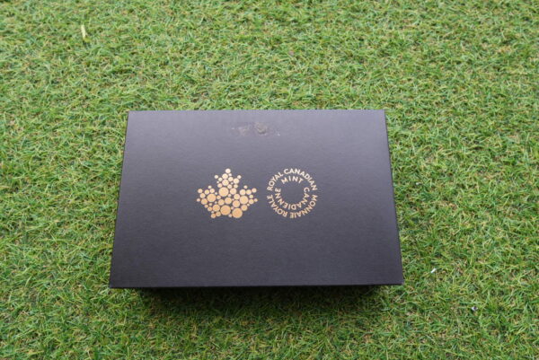 2021 $100 Fine Silver Coin – Canada’s Provincial and Territorial Flags | 10 oz Pure Silver - Image 5