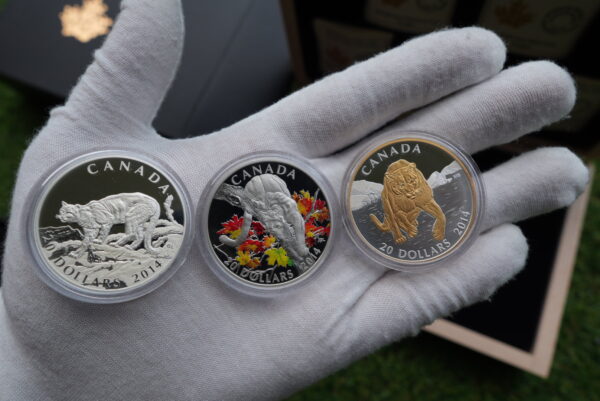 2014 Cougar 5-Coin Set – Pure Gold, Platinum & Silver | Royal Canadian Mint - Image 4