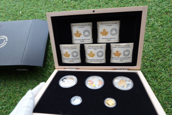 2014 Cougar 5-Coin Set – Pure Gold, Platinum & Silver | Royal Canadian Mint - Image 6