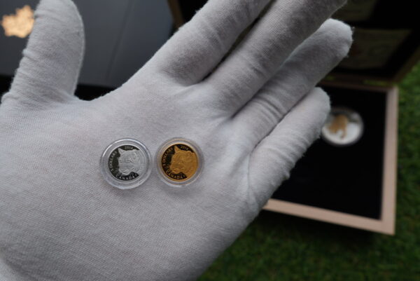 2014 Cougar 5-Coin Set – Pure Gold, Platinum & Silver | Royal Canadian Mint - Image 5