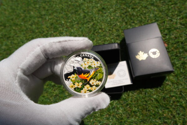 Colourful Birds: Baltimore Oriole – 1 oz Fine Silver Coin | Royal Canadian Mint - Image 2