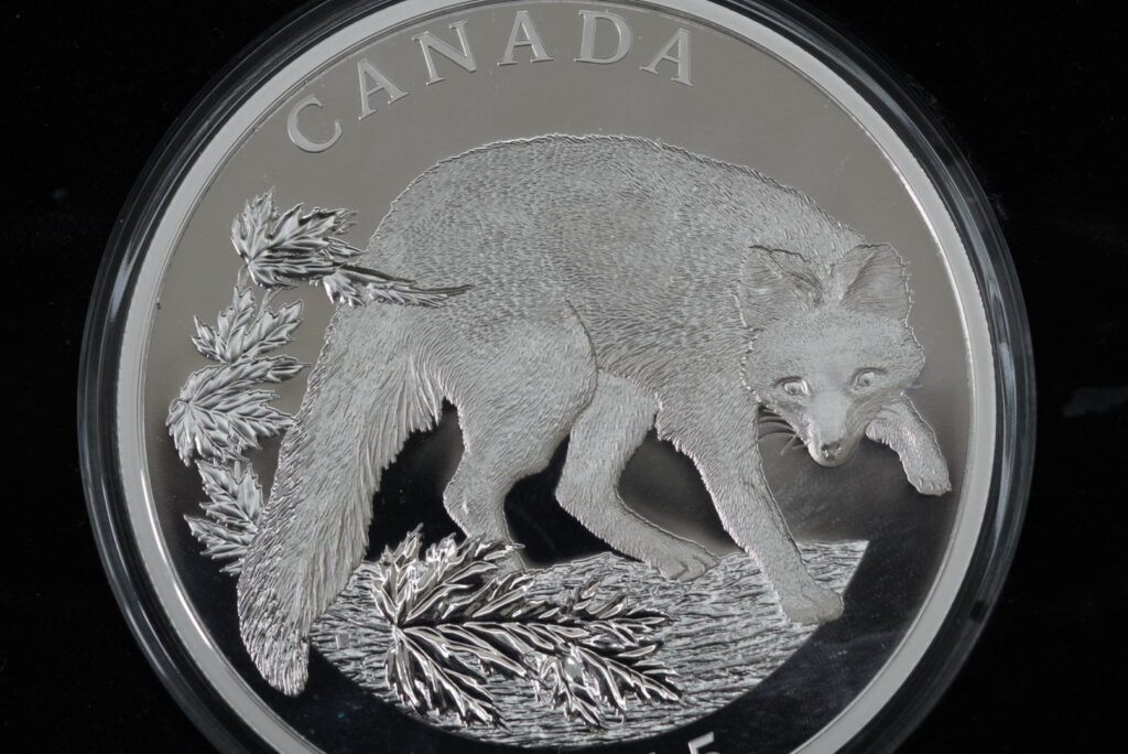 Half Kilogram Fine Silver Coin - Conservation Series: The Grey Fox