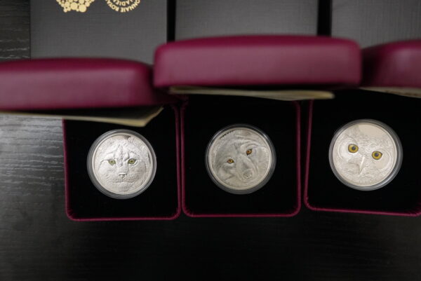 2017 Night Eyes: Canada’s Wild Animals – 3-Coin Glow Silver Set
