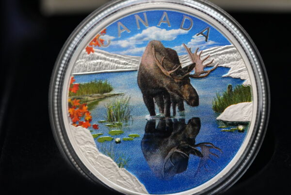 Forest Sovereign – 2024 $20 Wildlife Reflections Moose
