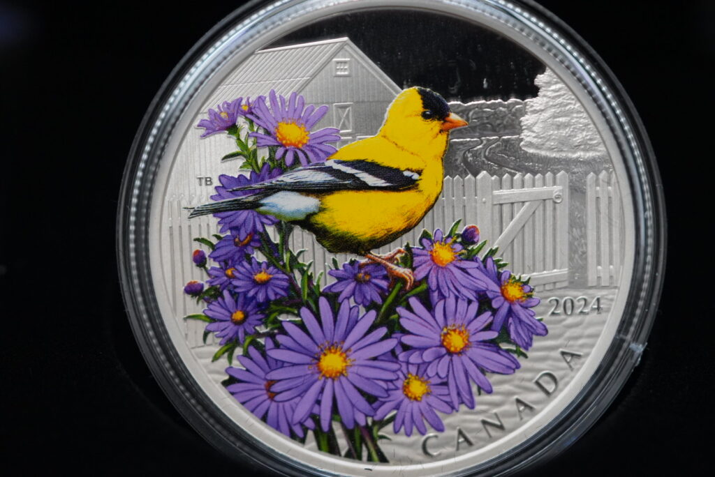 Golden Finch – 2024 $20 Colourful Birds Fine Silver Coin