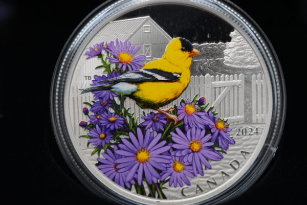 Golden Finch – 2024 $20 Colourful Birds Fine Silver Coin